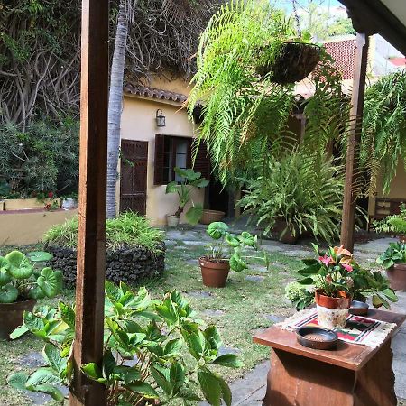 Bellasombra Suites ลาสปัลมาส เด กรานคานาเรีย ภายนอก รูปภาพ